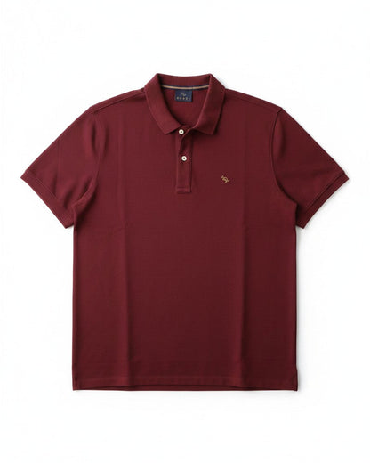 Polo Caius